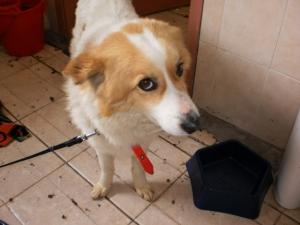 Прикачена снимка