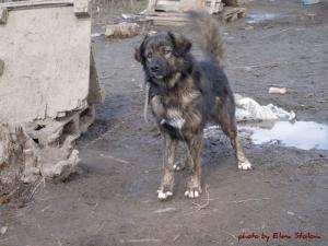 Прикачена снимка