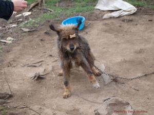 Прикачена снимка