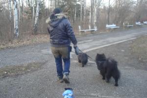 Прикачена снимка