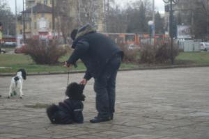 Прикачена снимка