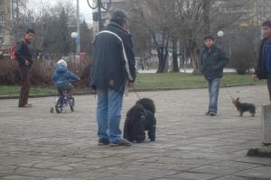 Прикачена снимка