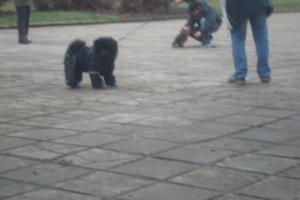 Прикачена снимка