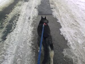 Прикачена снимка