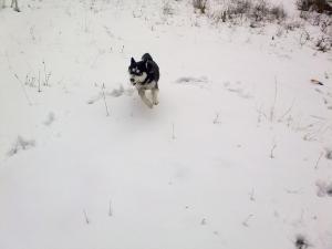 Прикачена снимка