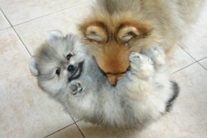 Прикачена снимка