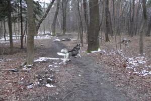 Прикачена снимка