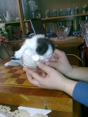 Прикачена снимка