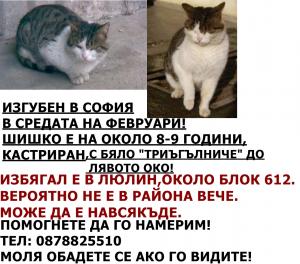 Прикачена снимка