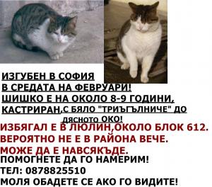 Прикачена снимка