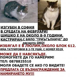 Прикачена снимка