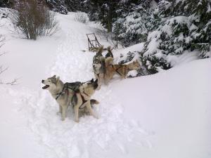 Прикачена снимка