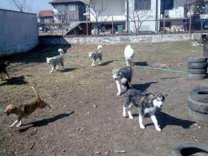 Прикачена снимка