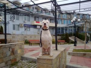 Прикачена снимка