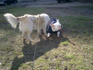 Прикачена снимка