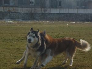 Прикачена снимка