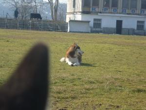 Прикачена снимка