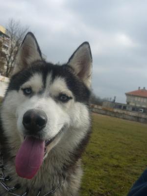 Прикачена снимка