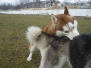 Прикачена снимка