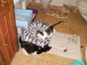 Прикачена снимка