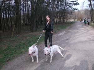 Прикачена снимка