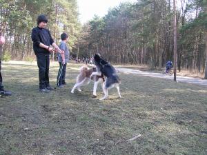 Прикачена снимка