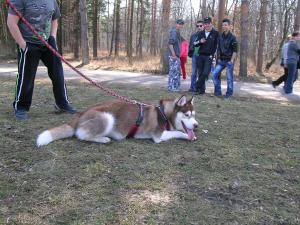 Прикачена снимка