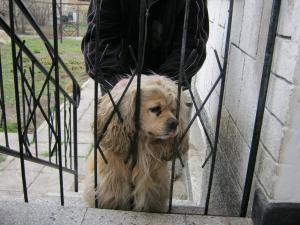 Прикачена снимка