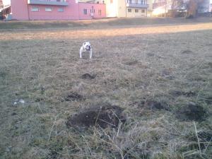 Прикачена снимка