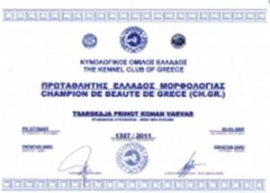 Прикачена снимка