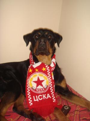 Прикачена снимка