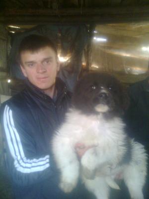 Прикачена снимка