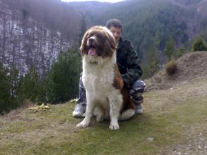 Прикачена снимка