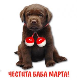 Прикачена снимка