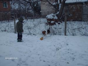 Прикачена снимка