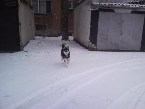 Прикачена снимка