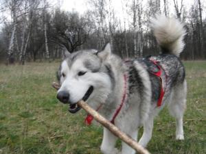 Прикачена снимка
