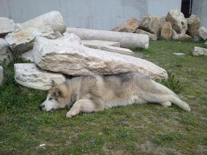 Прикачена снимка