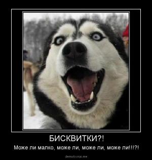 Прикачена снимка