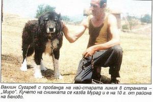 Прикачена снимка