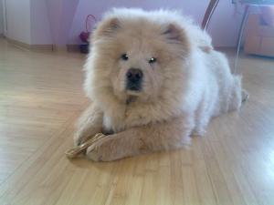 Прикачена снимка