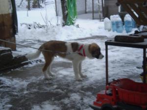 Прикачена снимка