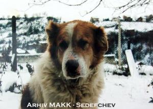 Прикачена снимка