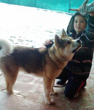 Прикачена снимка