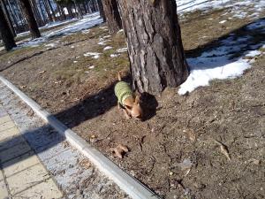 Прикачена снимка
