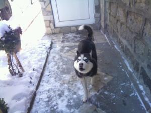 Прикачена снимка