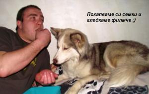 Прикачена снимка