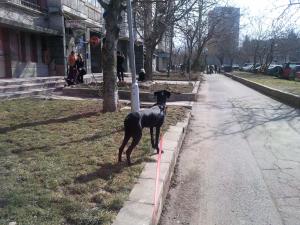 Прикачена снимка