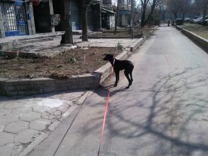 Прикачена снимка