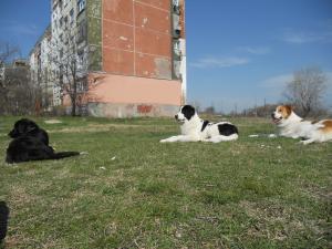 Прикачена снимка